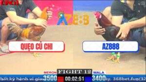 Trận 12 CPC1 27/3/2025 - Gà Điều Xóm Gà AZ Đâm Chân Nào Thấm Chân Đó