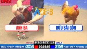 Trận 12 CPC1 29/3/2025 - Gà Anh Ba Lật Kèo Như Người Yêu Củ Lật Mặt