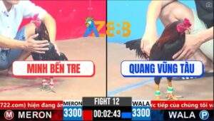 Trận 12 CPC3 19/3/2025 - Gà Bướm Má Minh Đá Hay Còn Gặp Gà Xám Hay Hơn