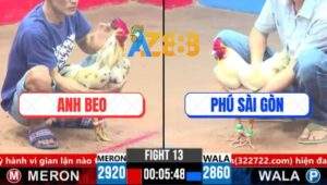 Trận 13 CPC3 17/3/2025 - Gà Anh Beo Có Chân Xạo Lờ Kết Liễu Đối Thủ