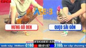 Trận 13 CPC1 20/3/2025 - Gà Khét Đá Bát 1 Gà Chuối Anh Quẹo Gãy Giò