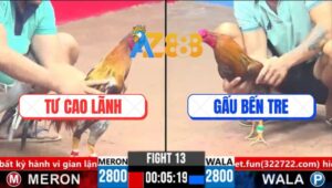 Trận 13 CPC3 14/3/2025 - Xám Son Anh Tư Cao Lãnh Đâm Cựa Như Máy