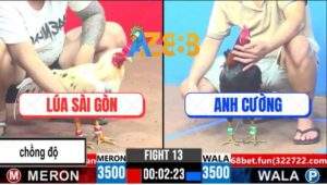 Trận 13 CPC3 28/3/2025 - Điều Xanh Hạ Sát Gà Bướm Anh Lúa Chồng Độ