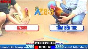 Trận 14 CPC1 20/3/2025 - Úa Camelo Của Xóm Gà AZ Hạ Điều Anh Tâm Nhanh Gọn