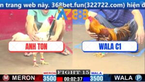 Trận 15 CPC1 4/3/2025 - Gà Bướm Anh Ton Siết Tăng 1 Gà WALA C1 Bỏ Mạng