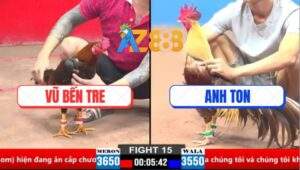 Trận 15 CPC1 21/3/2025 - Gà Điều Anh Vũ Bến Tre Gồng Cứu Chủ Ngoạn Mục