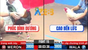 Trận 15 CPC3 16/3/2025 - Bổn Điều Xanh F1 Của Chú Phúc Đâm Cựa Quá Ác