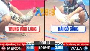 Trận 18 CPC3 27/3/2025 - Anh Hải Gò Công Tới Tang Bại 3 Trận Liên Tiếp