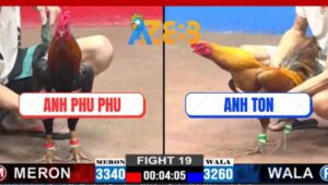 Trận 19 CPC2 2/3/2025 - Gà Que Anh Phu Phu Bị Gà Khét Anh Ton Bẻ Giò