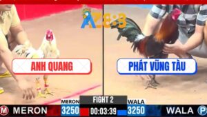 Trận 2 CPC3 3/3/2025 - Ga Anh Quang Hạ Gà Anh Phát Trong 1 Tay Nước