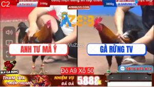 Trận 20 CPC2 14/3/2025 - Gà Rừng TV Phục Thù Anh Tư Mã Ý Thành Công