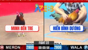 Trận 22 CPC3 3/3/2025 - Má Minh Sửa Gà Lật Kèo Quá Đẳng Cấp