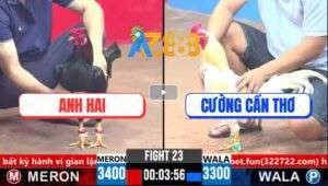 Trận 23 CPC3 18/3/2025 - Gà Anh Hai Đá Ngay Ông Địa Khỏi Sửa