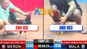 Trận 23 CPC3 21/3/2025 - Điều Chân Trắng Anh Hai Canh Chặn 2 Đá Có Kem