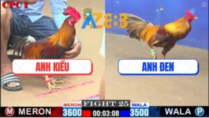 Trận 25 CPC1 1/3/2025 - Nước Nuôi Anh Tính Quá Tốt, Phút 90 Đá Bo 100