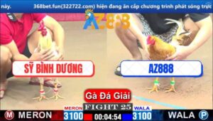 Trận 25 CPC1 6/3/2025 - Bướm Anh Sỹ Đâm Bít Cửa Gà Khét Xóm Gà AZ