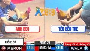 Trận 27 CPC3 21/3/2025 - Gà Điều Anh Beo Đá 2 Chân Lên Lóp 2