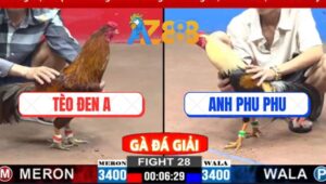 Trận 28 CPC2 2/3/2025 - Anh Phu Phu Chạm Trán Anh Bảo Sting