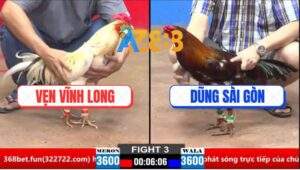 Trận 3 CPC2 30/3/2025 - Gà Bướm Anh Vẹn Đá 3 Chân Tiễn Điều Lên Đường