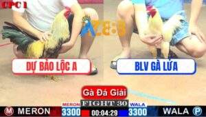 Trận 30 CPC1 22/3/2025 - BLV Gà Lửa Tiếp Tục Hạ Anh Dự Bảo Lộc A