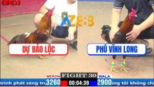 Trận 30 CPC1 29/3/2025 - Điều Kém 3 Chấm Hạ Bổn Khét Hiệu Dự Bảo Lộc