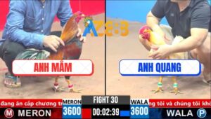 Trận 30 CPC3 14/3/2025 - Điều Cọp Anh Mắm Đá Bát 1 Có Kết Quả