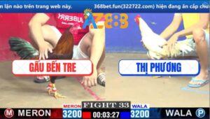 Trận 33 CPC1 6/3/2025 - Điều Anh Gấu Có Chân Mai Độ Hạ Bướm Thị Phương