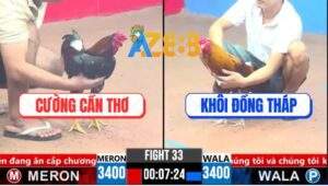 Trận 33 CPC3 27/3/2025 - Gà Khét Anh Khoa Đá Nhấc Người Gà Anh Cường