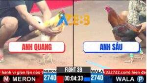 Trận 39 CPC3 17/3/2025 - Gà Bướm Anh Quang Canh Chặn 1 Cước Dứt Điểm