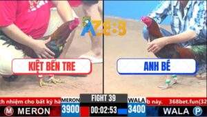 Trận 39 CPC3 26/3/2025 - Gà Anh Kiệt Hơn 5 Chấm Còn Có Chân Mai Độ