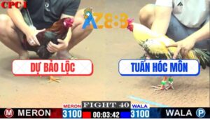 Trận 40 CPC1 1/3/2025 - Anh Tuấn Hóc Môn Chạm Trán Anh Dự Bảo Lộc