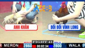 Trận 41 CPC1 3/3/2025 - Gà Anh Khàn Có Chân Xạo Lờ Bẻ Cổ Gà Bối Bối