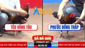 Trận 47 CPC2 30/3/2025 - Que Cọp Anh Tèo Đá Chân 1 Lụm Gần 2 Tỏi