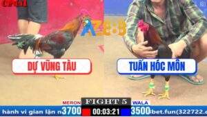 Trận 5 CPC1 29/3/2025 - Gà Anh Dự Vũng Tàu Chưa Kịp Nhấc Chân Đã Bại