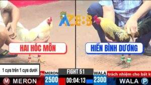 Trận 51 CPC3 17/3/2025 - Gà Úa Anh Hai Đâm Gà Chuối Không Kịp Gỡ Cựa