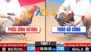 Trận 7 CPC3 16/3/2025 - Điều Chân Xanh Chú Phúc Đâm Cựa Như Sam Sít