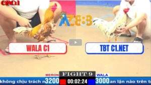 Trận 9 CPC1 18/3/2025 - WALA C1 Chạm Trán Với TBT C1.NET