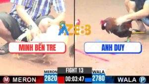 Trận 13 CPC3 15/4/2025 - Gà Điều Anh Duy Bú Gà Úa Má Minh Sụm Tỳ