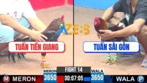 Trận 14 CPC3 15/4/2025 - Điều Chân Xanh Anh Tuấn Chịu Đòn Lụm Xổ 300