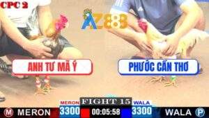 Trận 15 CPC2 18/4/2025 - Gà Cú Đâm Bướm Hiệu Anh Bảo Sting Lên Cá Rô