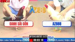 Trận 17 CPC1 3/4/2025 - Gà Úa Xóm Gà AZ Đâm Cựa Quá Hiểm Đá Điều Lật Xe