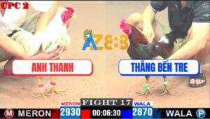 Trận 17 CPC2 16/4/2025 - Gà Bướm Nuốt Ói Hạ Điều Cọp Anh Thắng Bến Tre