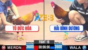 Trận 19 CPC3 13/4/2025 - Gà Khét Anh Tú Đức Hòa Nhảy Hút Chân Nằm Đống