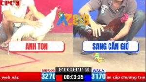 Trận 2 CPC2 4/4/2025 - Gà Úa Anh Ton Đá Điều Anh Sang Xì Cơm Nằm Đống