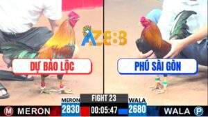 Trận 23 CPC3 11/4/2025 - Xổ 300 Giữa Anh Dự Bảo lộc Và Anh Phú Sài Gòn