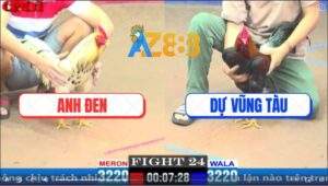 Trận 24 CPC1 5/4/2025 - Gà Anh Dự Vũng Tàu Lật Kèo Như Lật Bánh Tráng