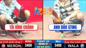 Trận 24 CPC3 1/4/2025 - Má Minh Hạ Anh Bảo Sting Lấy 3 Điểm Đầu Tiên