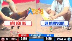 Trận 27 CPC3 29/4/2025 - Bướm Anh Un Đâm Điều Anh Gâu Kêu Miệng