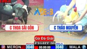 Trận 38 CPC1 10/4/2025 - Chị Thoa Sài Gòn Gặp Chị Thảo Nguyên