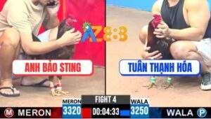 Trận 4 CPC3 22/4/2025 - Gà Cụt Móng Bảo Sting Phản 5 Lai Quá Đẳng Cấp